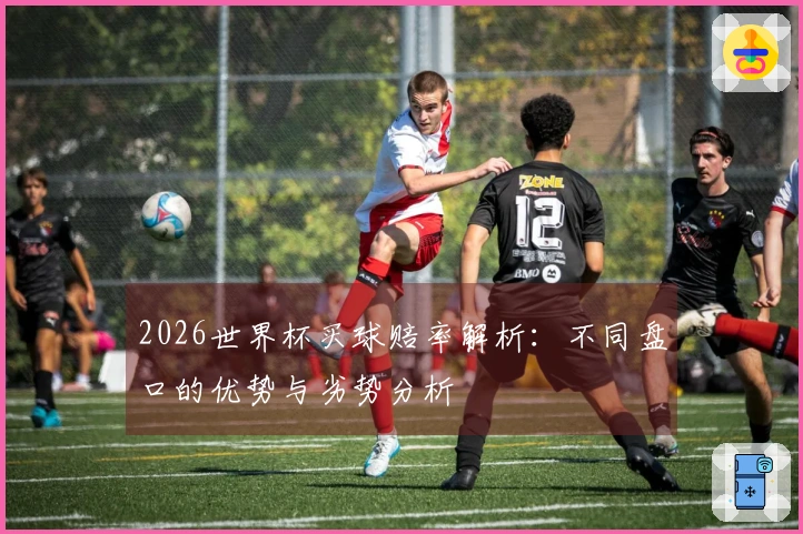 2026世界杯买球赔率解析：不同盘口的优势与劣势分析