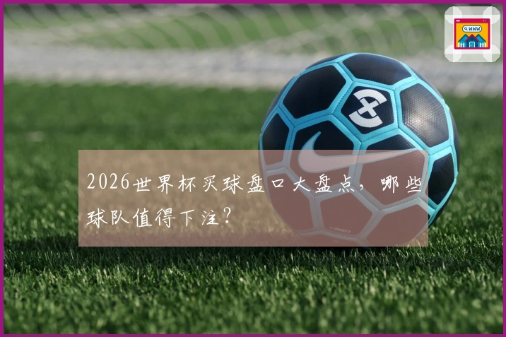 2026世界杯买球盘口大盘点,哪些球队值得下注?