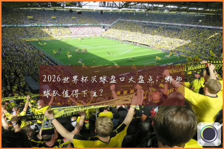 2026世界杯买球盘口大盘点，哪些球队值得下注？