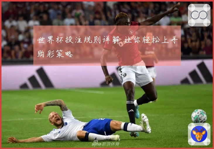 世界杯投注规则详解 让你轻松上手购彩策略